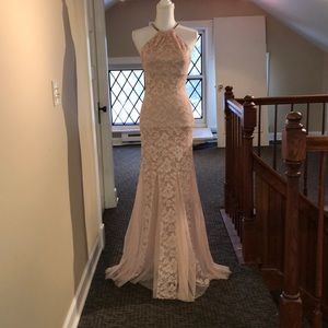 Blush Pink Mermaid Fitted Lace Prom Dress Gown